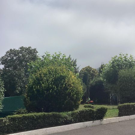 Corias Casona Junto Al Narcea Villa Екстериор снимка