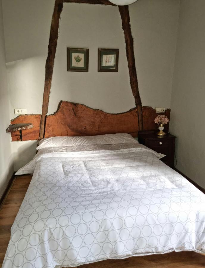 Corias Casona Junto Al Narcea Villa Екстериор снимка