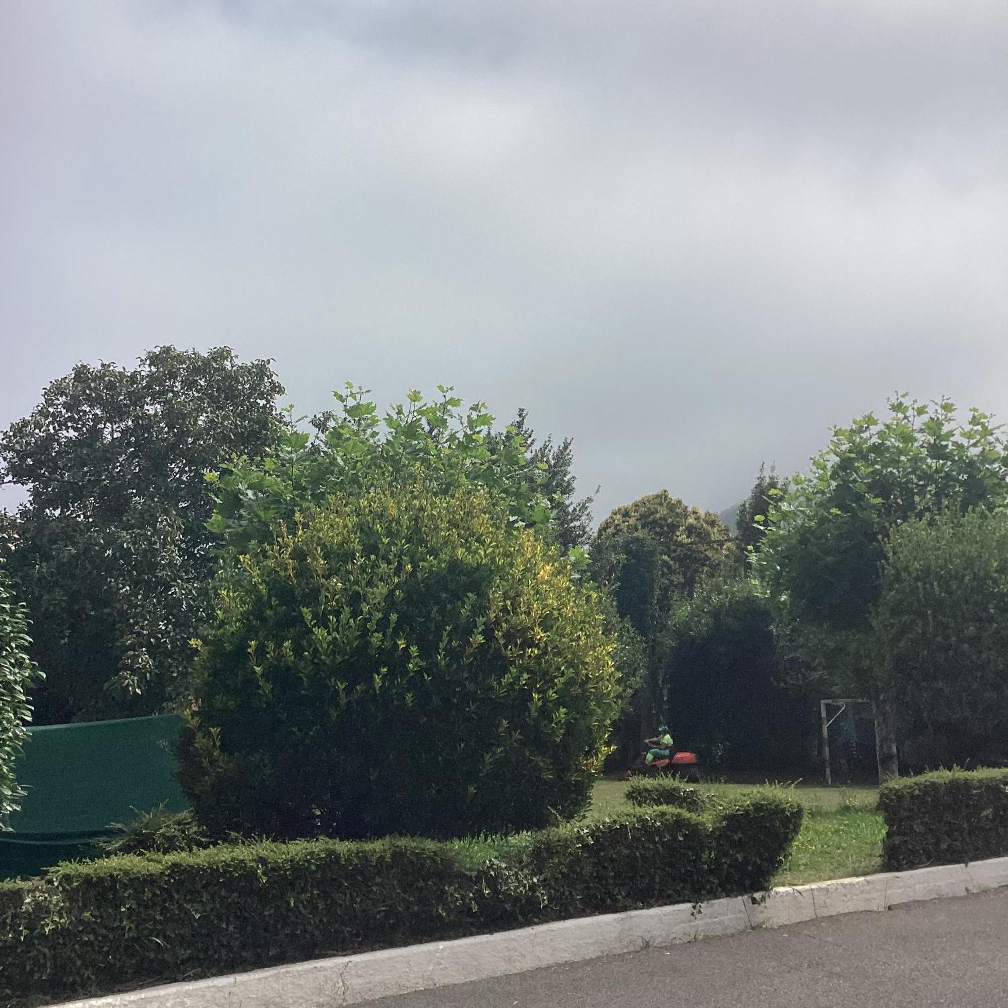 Corias Casona Junto Al Narcea Villa Екстериор снимка